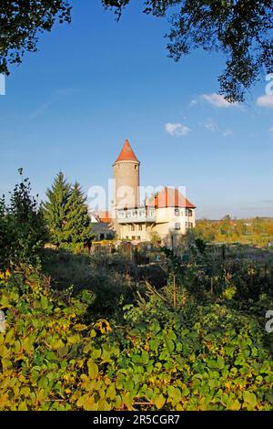 Salwartenturm, Dinkelsbühl, Mittelfrankreich, Bayern, Deutschland Stockfoto