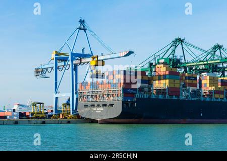 Verladung von Frachtcontainern im Hafen von Zeebrugge, Belgien Stockfoto