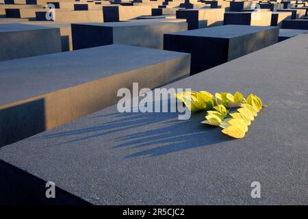 Holocaust-Mahnmal für die ermordeten Juden Europas, Feld von Stelae, Architekt Peter Eisenman, Berlin, Deutschland Stockfoto