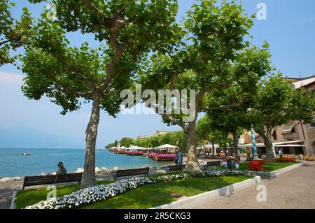 Torri del Benaco, Gardasee, Italien Stockfoto