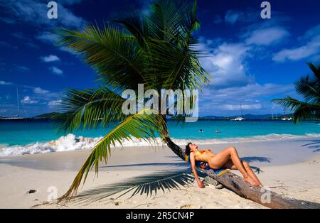 Salomon Bay, Karibik, St. John Island, Amerikanische Jungferninseln Stockfoto