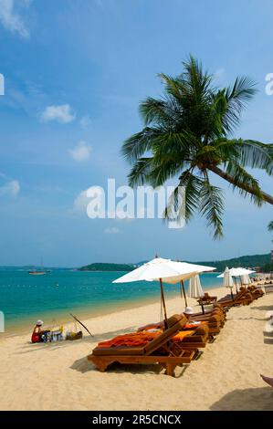 Mae Nam Beach, Ko Samui Island, Thailand, Südthailand, Palm Beach, Palmen Stockfoto