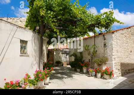 Allee in Omodos, Troodos Mountains, Südzypern, Südzypern Stockfoto