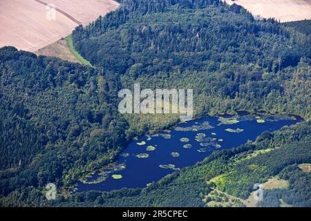 See, Naturpark Schaalsee, Rosenhagen, Schleswig-Holstein, Deutschland Stockfoto