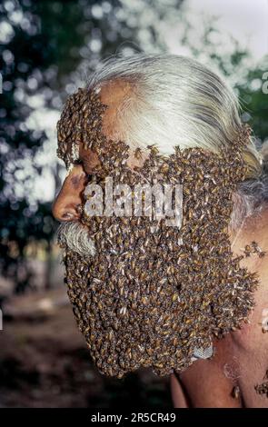 Bart, der verstorbene Mr. Rangaramanujam kannaian, Gesicht des Menschen bedeckt mit Bienen, Coimbatore, Tamil Nadu, Südindien, Indien, Asien Stockfoto