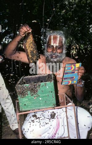 Bart, der verstorbene Mr. Rangaramanujam kannaian, Gesicht des Menschen bedeckt mit Bienen, Coimbatore, Tamil Nadu, Südindien, Indien, Asien Stockfoto