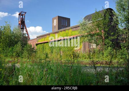 Pact Building, Zollverein Colliery, Industriemonument, Essen, Ruhrgebiet, Nordrhein-Westfalen, Route of Industrial Heritage, Deutschland Stockfoto