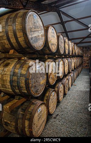 Cask Warehouse, Glengoyne Distillery - Dumgoyne, Stirlingshire, Schottland, Großbritannien Stockfoto