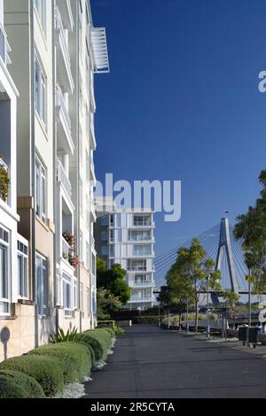 Der neue Vorort Jackson's Landing in Pyrmont, Sydney, NSW, Australien. Das Wohnviertel liegt neben der Anzac Bridge, Johnston's Bay und Glebe Island. Stockfoto