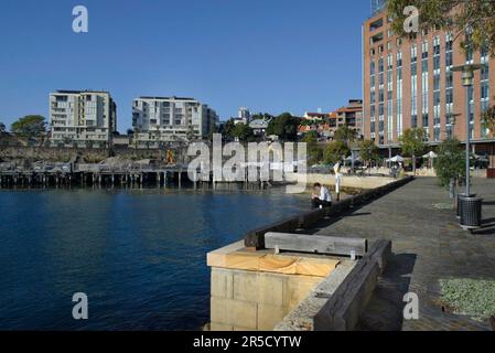 Der neue Vorort Jackson's Landing in Pyrmont, Sydney, NSW, Australien. Das Wohnviertel liegt neben der Anzac Bridge, Johnston's Bay und Glebe Island. Stockfoto