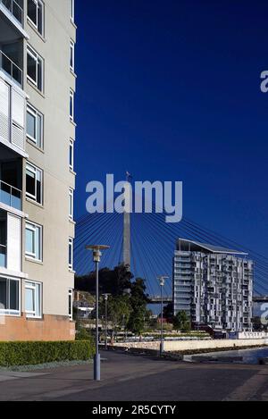 Der neue Vorort Jackson's Landing in Pyrmont, Sydney, NSW, Australien. Das Wohnviertel liegt neben der Anzac Bridge, Johnston's Bay und Glebe Island. Stockfoto