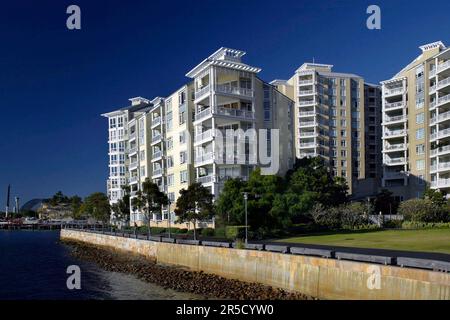 Der neue Vorort Jackson's Landing in Pyrmont, Sydney, NSW, Australien. Das Wohnviertel liegt neben der Anzac Bridge, Johnston's Bay und Glebe Island. Stockfoto