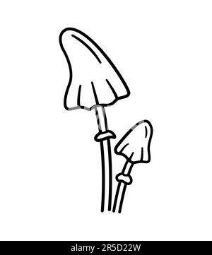 Giftige Pilze. Handgezeichnete Skizzensymbole von Waldpflanzen. Amanita virosa. Botanische Darstellung isolierter Vektoren im Doodle-Linienstil. Stock Vektor