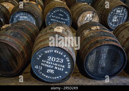 Springbank Destillery Warehouse, Campbeltown, Schottland, Vereinigtes Königreich Stockfoto