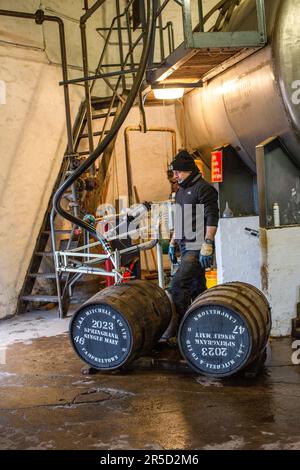 Springbank Destillery Production, Casking and Filling of Spirit , Campbeltown, Schottland, Vereinigtes Königreich Stockfoto