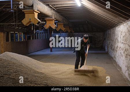 Springbank Destillery Floor Maltings, Campbeltown, Schottland, Vereinigtes Königreich Stockfoto