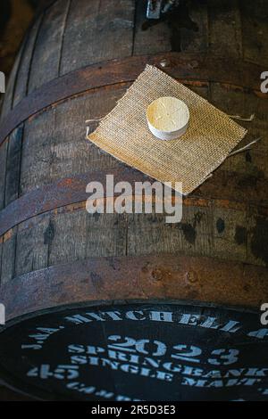 Whiskyfass, Blick auf Stopfen und Loch Stockfoto