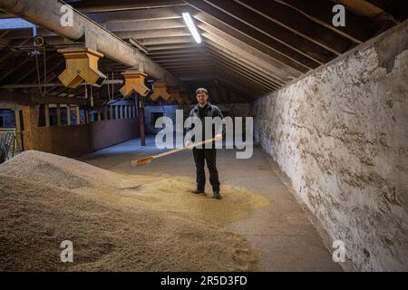 Springbank Destillery Floor Maltings, Campbeltown, Schottland, Vereinigtes Königreich Stockfoto