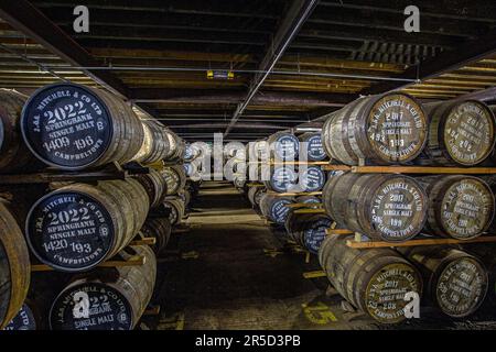 Springbank Destillery Warehouse, Campbeltown, Schottland, Vereinigtes Königreich Stockfoto