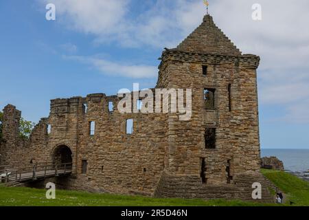 Teil der Ruinen von St. Andrews Castle, ehemaliger Palast der Bischöfe des Burgh, aus dem frühen 13. Jahrhundert. Stockfoto