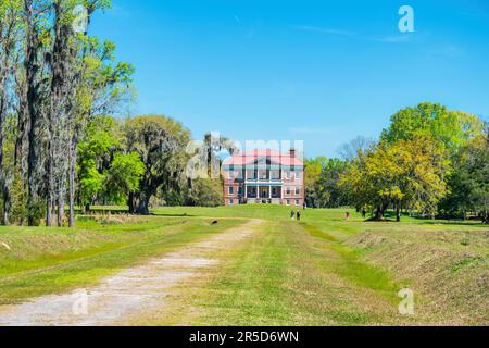 Drayton Hall Plantage, Charleston, South Carolina, USA. Stockfoto