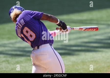 Baton Rouge, LA, USA. 2. Juni 2023. Tre' Morgan (18) von LSU sucht nach einem Base Hit während der NCAA Baseball Regional Action zwischen der Tulane Green Wave und den LSU Tigers im Alex Box Stadium, Skip Bertman Field in Baton Rouge, LA. Jonathan Mailhes/CSM/Alamy Live News Stockfoto