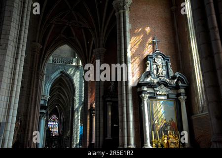 Die sonnendurchfluteten Korridore von St. Bavos Kathedrale - Gent, Belgien Stockfoto