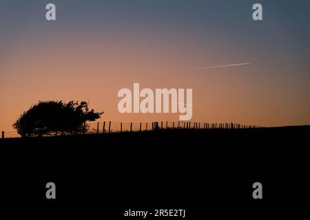 Flugzeuge fliegen bei Sonnenuntergang in die Ferne und erzeugen Dampfpfade. Eine Silhouette aus einem Baum und Zaun auf einem Hügel in der Ferne. Alciston & Firle, East S Stockfoto