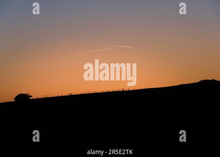 Flugzeuge fliegen bei Sonnenuntergang in die Ferne und erzeugen Dampfpfade. Eine Silhouette aus einem Baum und Zaun auf einem Hügel in der Ferne. Alciston & Firle, East S Stockfoto