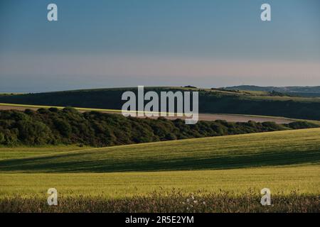 Ackerland an einem sonnigen Abend im South Downs National Park mit Sonnenuntergang über dem Sussex Weald. Die niedrige Sonne wirft Lichter und Schatten Stockfoto