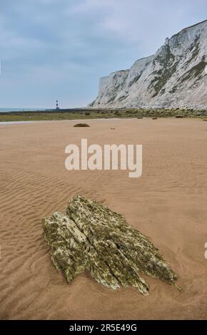 Beachy Head Lighthouse, Kreidefelsen der Seven Sisters bei Ebbe in der Nähe von Eastbourne, East Sussex, Großbritannien Stockfoto