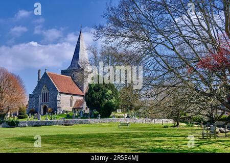 Alfriston Tye (Dorfgrün) und St. Andrew's Church, auch bekannt als „Cathedral of the South Downs“. Stockfoto