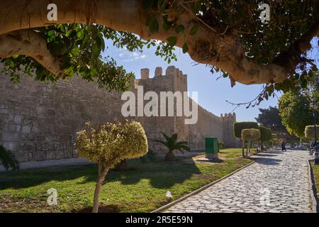 Sousse, Tunesien, 22. Januar 2023: Park mit Rasen und Zierbäumen entlang der alten Mauern der Medina von Sousse Stockfoto