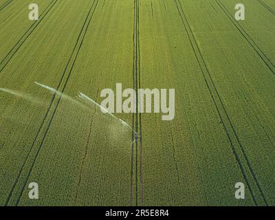 Ich kümmere mich um das Erntegut. Luftaufnahme des Bewässerungssystems für die Landwirtschaft, Bewässerung landwirtschaftlicher Flächen Stockfoto