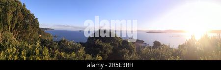 Panoramablick auf den Hafen von Wellington von York Bay, Wellington, Neuseeland Stockfoto