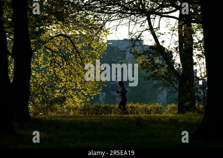 Die Frau, die im Morgenlicht joggt. Die Menschen brauchen eine Grünfläche, wo sie Sport treiben können. Leute Rennen gern zwischen Bäumen rein. Der Lauf im grünen Bereich i Stockfoto