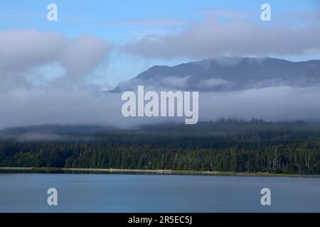 Küstenlandschaft im Morgennebel im Inneren der Passage-British Columbia, Kanada Stockfoto