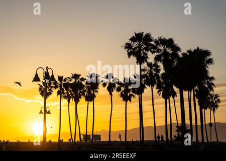 Venice Beach in Los Angeles vor Sonnenuntergang Stockfoto