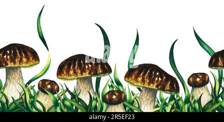 Wasserfarbener nahtloser Rand mit essbaren Pilzen, Porcini boletus und Grünpflanzen, Grashalm, handgezeichnete Illustration auf weißem Hintergrund Stockfoto