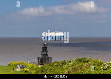 Anmutiger Anführer auf dem Weg zu den Royal Portbury Docks Stockfoto