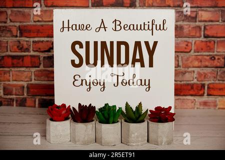 Fröhlicher Sonntag auf Holzbrett mit künstlicher Pflanze geschrieben Stockfoto