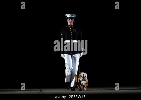 Washington DC, USA. 02. Juni 2023. Das Maskottchen der Marines, Chesty, ein englischer Bulldog, wird am Freitag, den 2. Juni 2023 bei der Marinebaracke am Freitagabend in den Marinebarracken in Washington, DC vorgestellt. Kredit: Bonnie Cash/Pool über CNP/MediaPunch Kredit: MediaPunch Inc/Alamy Live News Stockfoto