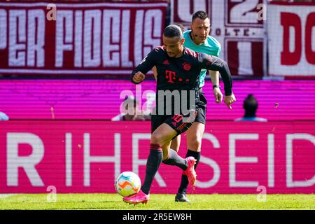 KÖLN, DEUTSCHLAND - MAI 27: Leroy Sane vom FC Bayern München dribbelt während des Bundesliga-Spiels zwischen 1 mit dem Ball. FC Köln und FC Bayern München im RheinEnergieStadion am 27. Mai 2023 in Köln (Foto von Rene Nijhuis/Orange Pictures) Stockfoto