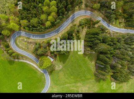 Gewundene Bergstraße im Wald mit grünen Wiesen und Wäldern aus der Vogelperspektive im lechtal Stockfoto