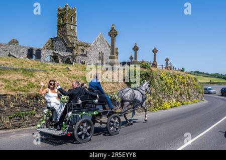 Timoleague, West Cork, Irland. 3. Juni 2023. An einem heißen, sonnigen Tag in Timoleague wird die zukünftige Braut Laura O'Donovan aus Timoleague am Franziskanerfrieden von Timoleague vorbei zu ihrer Hochzeit mit Cillian Cullinane vom Kutschfahrer Denis O'Donoghue gefahren, der von „Stella“, dem irischen Zugpferd, gezogen wird. Kredit: AG News/Alamy Live News Stockfoto
