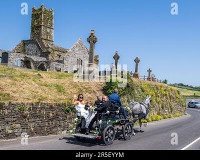 Timoleague, West Cork, Irland. 3. Juni 2023. An einem heißen, sonnigen Tag in Timoleague wird die zukünftige Braut Laura O'Donovan aus Timoleague am Franziskanerfrieden von Timoleague vorbei zu ihrer Hochzeit mit Cillian Cullinane vom Kutschfahrer Denis O'Donoghue gefahren, der von „Stella“, dem irischen Zugpferd, gezogen wird. Kredit: AG News/Alamy Live News Stockfoto