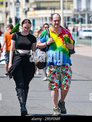 Brighton UK 3. Juni 2023 - Eine Familie aus London mit ihren Papageien bekam großes Interesse von Besuchern, die einen heißen sonnigen Tag an der Küste von Brighton genossen: Credit Simon Dack / Alamy Live News Stockfoto