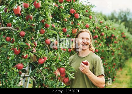 Außenporträt eines gutaussehenden jungen Mannes, der Äpfel in Obstgärten erntet Stockfoto