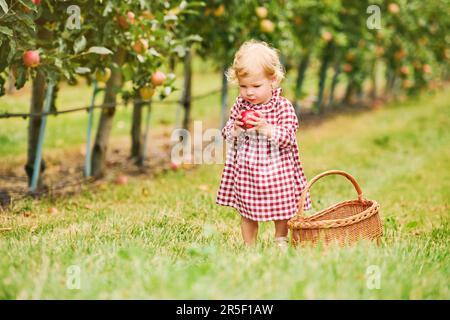 Ein liebenswertes Kleinkind, das im Obstgarten spielt, Apfel hält, gesundes Essen für Kinder Stockfoto