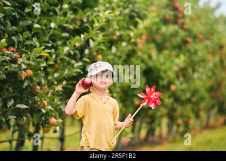 Glücklicher kleiner Junge, der Äpfel im Obstgarten erntet, Bio-Lebensmittel für Kinder, Hut mit schweizer Flagge, Apfel und schweizer Drehrad in der Hand hat Stockfoto